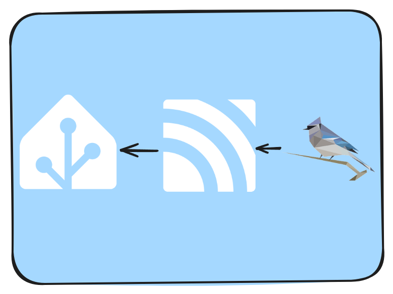 Integrating BirdNET-Pi with Home Assistant Using MQTT