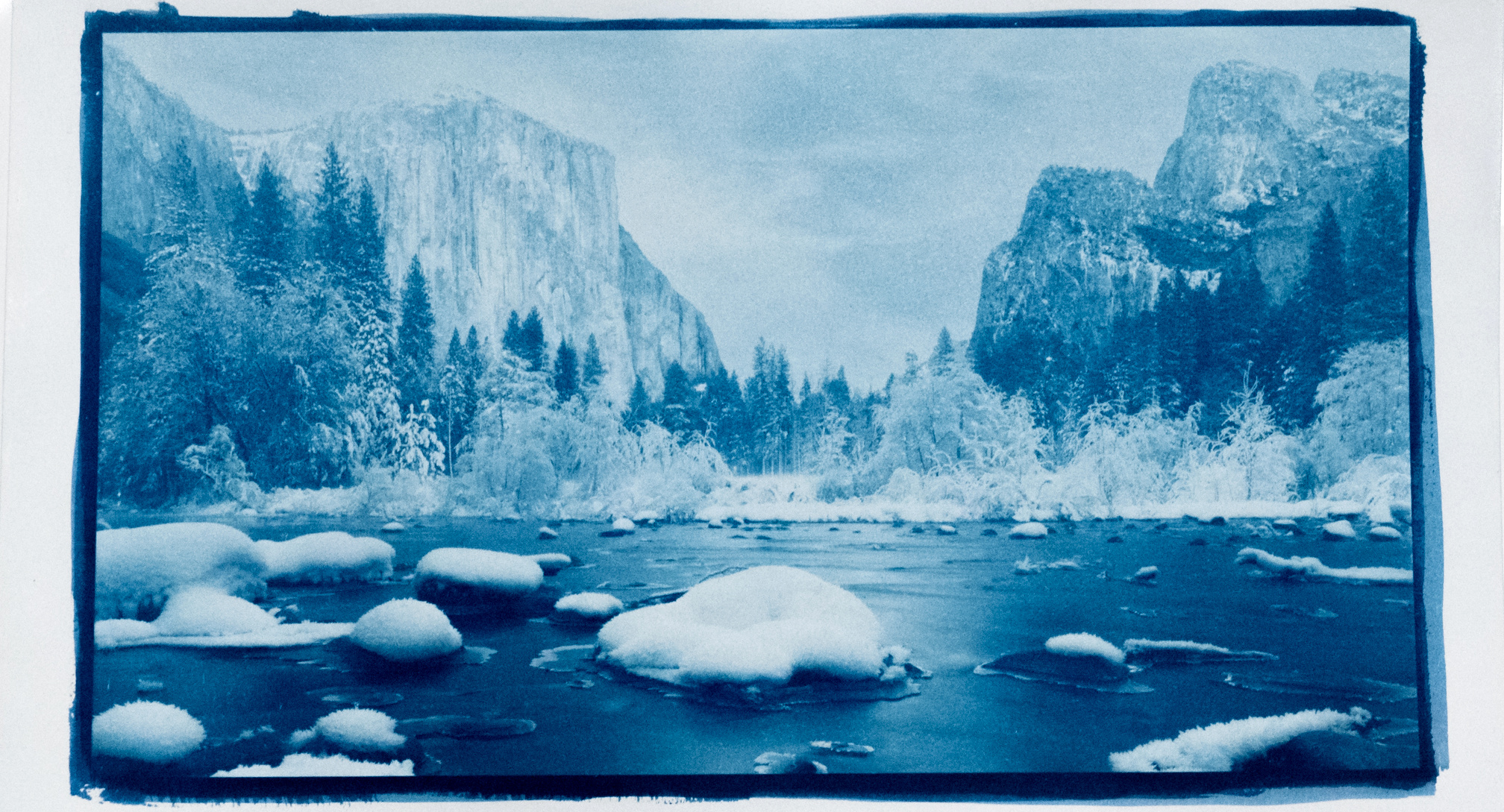 Cyanotypes with Digital Negatives